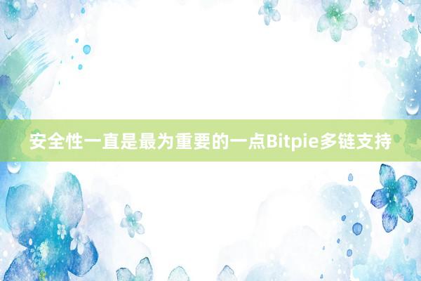 安全性一直是最为重要的一点Bitpie多链支持