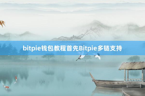 bitpie钱包教程首先Bitpie多链支持