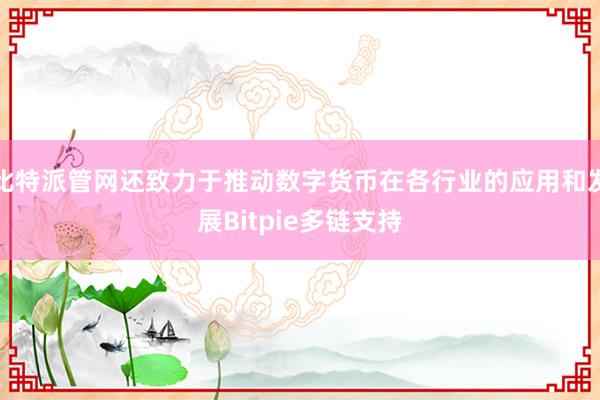 比特派管网还致力于推动数字货币在各行业的应用和发展Bitpie多链支持