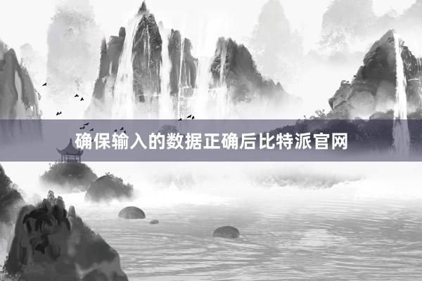 确保输入的数据正确后比特派官网