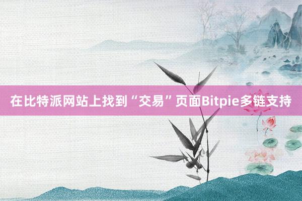 在比特派网站上找到“交易”页面Bitpie多链支持