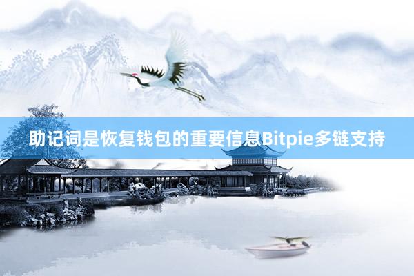 助记词是恢复钱包的重要信息Bitpie多链支持