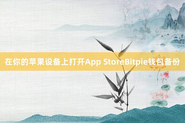 在你的苹果设备上打开App StoreBitpie钱包备份