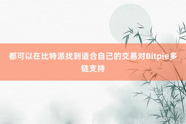 都可以在比特派找到适合自己的交易对Bitpie多链支持