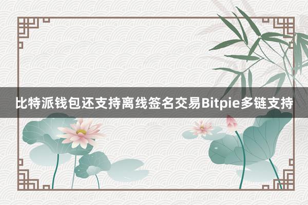 比特派钱包还支持离线签名交易Bitpie多链支持