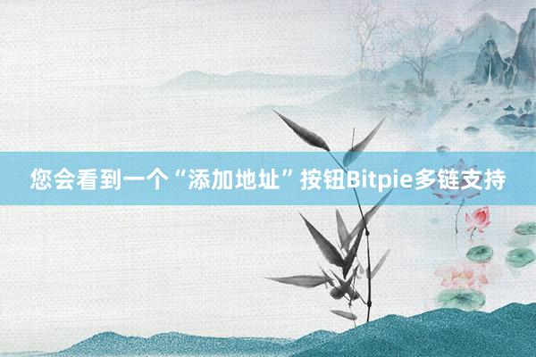 您会看到一个“添加地址”按钮Bitpie多链支持