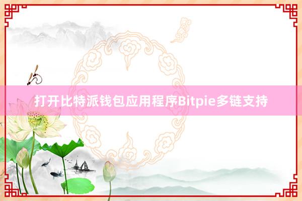 打开比特派钱包应用程序Bitpie多链支持