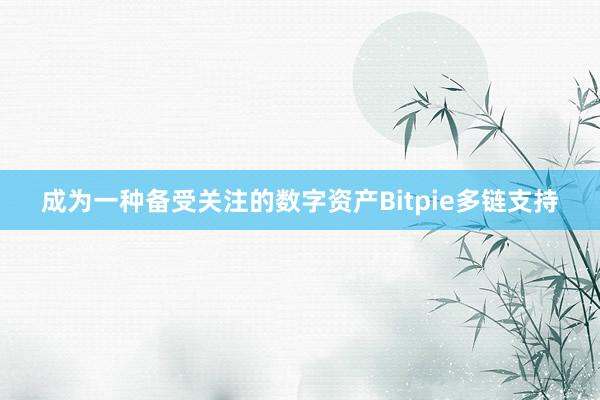 成为一种备受关注的数字资产Bitpie多链支持