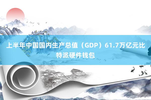 上半年中国国内生产总值（GDP）61.7万亿元比特派硬件钱包