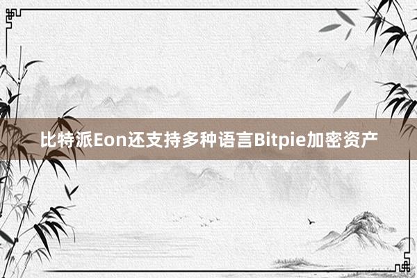 比特派Eon还支持多种语言Bitpie加密资产