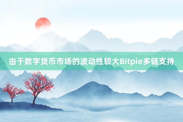 由于数字货币市场的波动性较大Bitpie多链支持