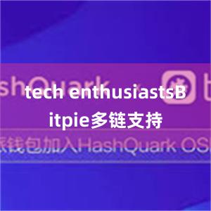 tech enthusiastsBitpie多链支持