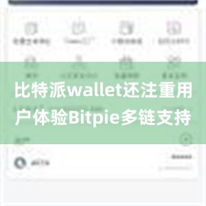 比特派wallet还注重用户体验Bitpie多链支持