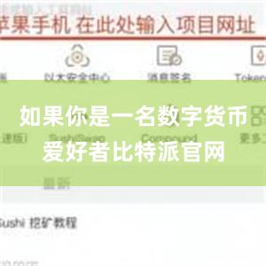 如果你是一名数字货币爱好者比特派官网