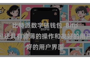 比特派数字链钱包  Bitpie钱包还具有绵薄的操作和友好的用户界面